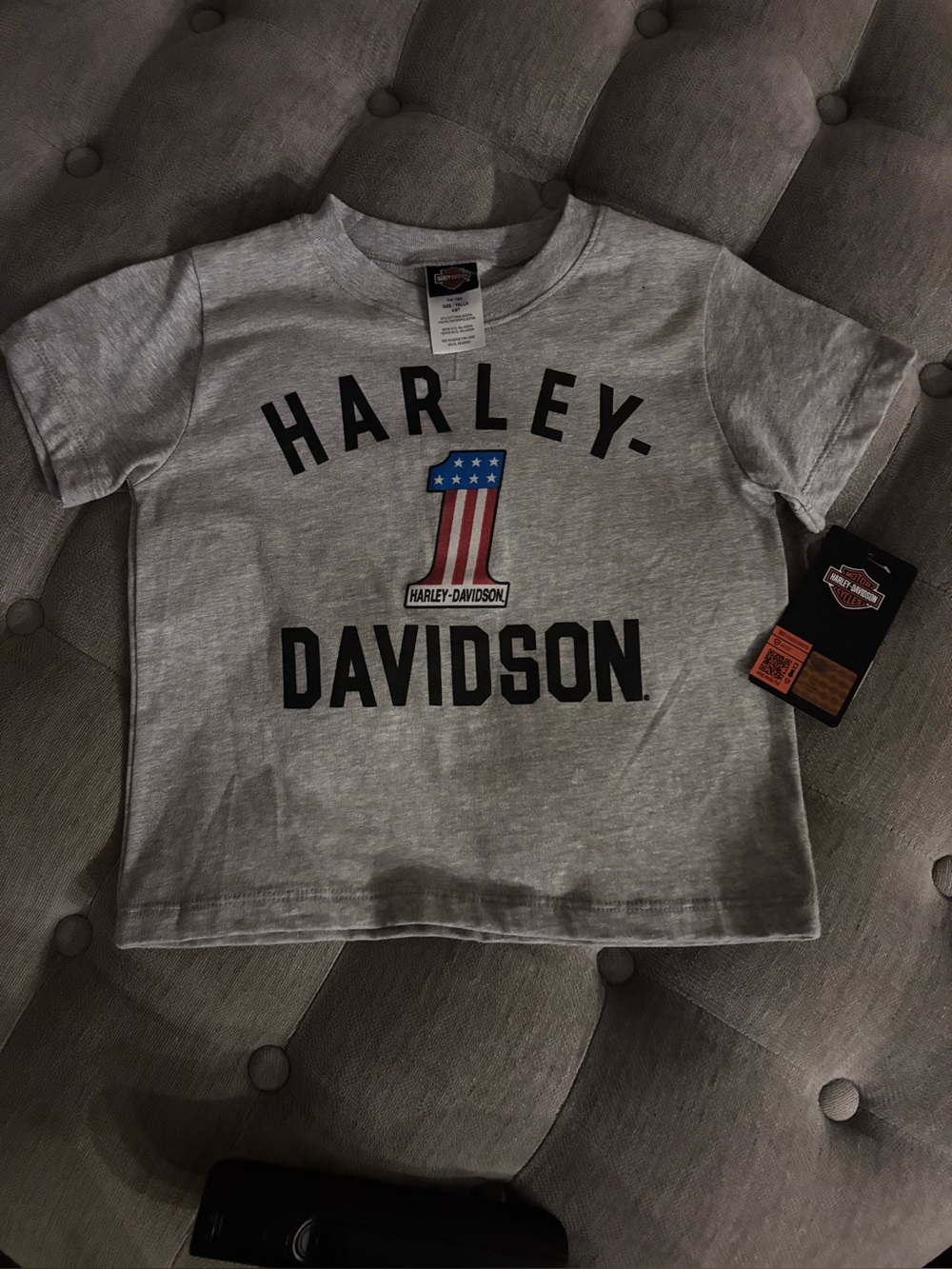 Harley-Davidson Gray Kids Short Sleeve Tee with Stars & Stripes '1' Graphic